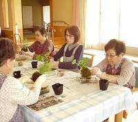 kokedama2013-6-B.jpg