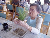 kokedama2013-6-C.jpg