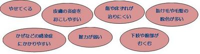 teieiyou2013-6-18-A.JPG