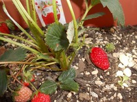 DSCN0873.jpg