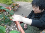 DSCN0876.jpg