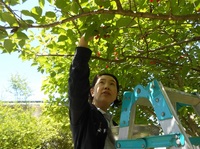 DSCN0823.JPG