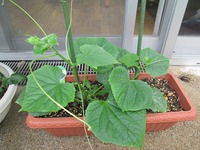 IMG_3185.jpg