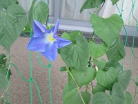 IMG_3189.jpg
