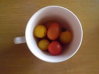 tomato.jpg