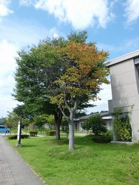 CIMG3897.jpg