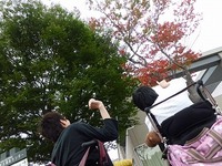 akinootozure2.jpg