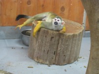 IMG_5332.jpg