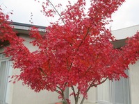 IMG_5150.jpg