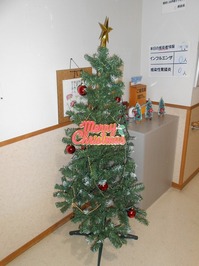DSCN2389.jpg