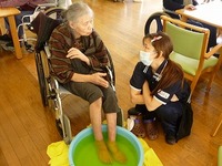 dei2013.12.3a.jpg