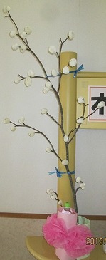 IMG_6005.jpg