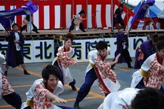 DSC_0137.jpg