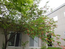 2015.5.21.1.jpg