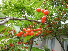 2015.5.21.2.jpg