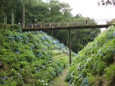 2015.g7.1.3.jpg