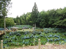 2015.g7.1.4.jpg