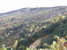 syuhen093003.jpg