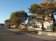 2015.10.26jimu1.jpg