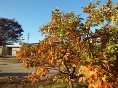 2015.10.26jimu3.jpg