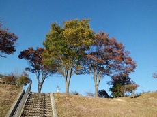 2015.10.26jimu4.jpg