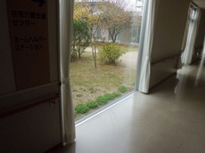 syasin2015.11.9.3.jpg