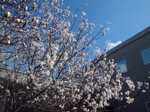 2016.3.26.1.jpg