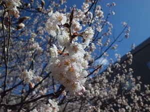 2016.3.26.2.jpg
