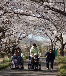 2016.4.19.1.jpg