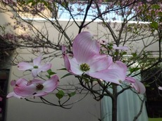 2016.4.27.1.jpg