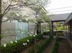 2016.4.27.2.jpg