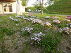 2016.4.27.3.jpg