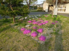 2016.4.27.4.jpg