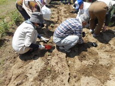 2016.5.27.2.jpg