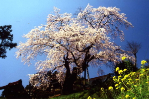 01.jpg