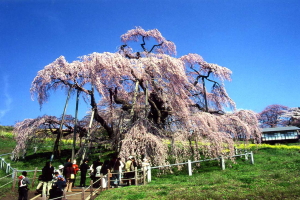06.jpg
