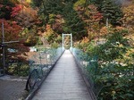 吊り橋と紅葉.jpg