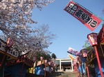 桜の花と出店（郡山市　開成山大神宮境内）
