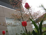 IMG_1694.jpg
