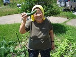 野菜収穫0804.jpg