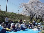 お花見風景