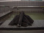 入浴用の炭