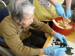 チラシ寿司を作ろう!!