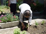 マリーゴールドを植えましょう.jpg