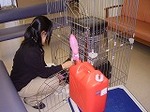 燃料補給