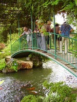 池の鯉と利用者さんと.jpg