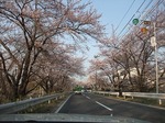 蛇ヶ森（郡山市日和田町）H21.4.11撮影
