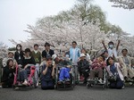 満開の桜の前で
