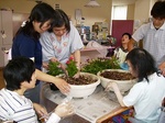綺麗に植えましょう.jpg