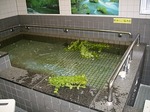 ミント風呂.jpg